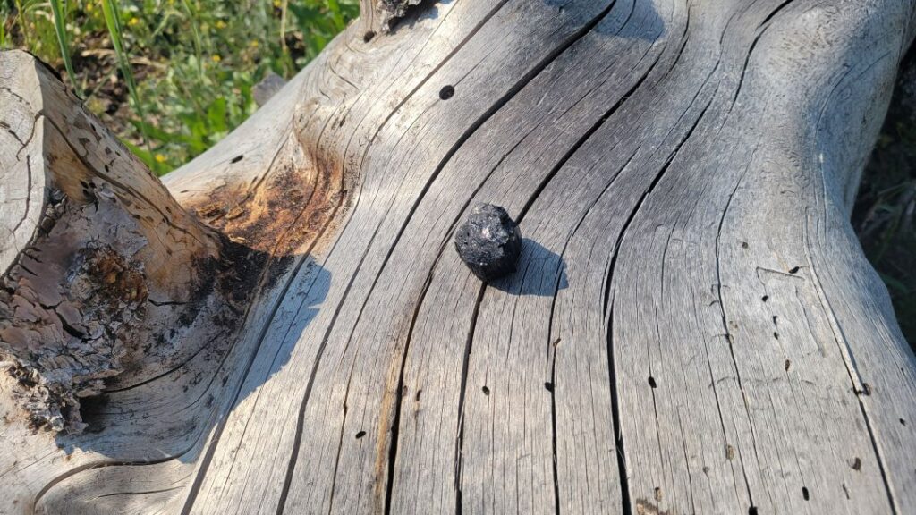Black Tourmaline