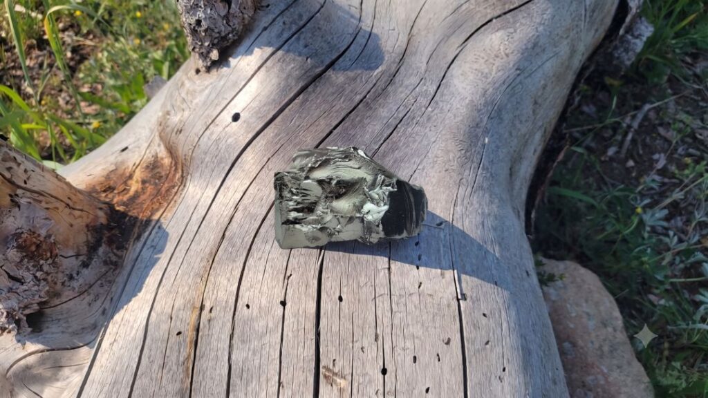 Shungite