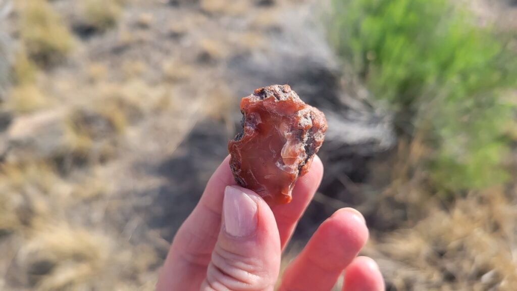 Carnelian Raw