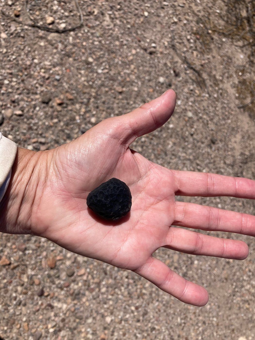 Black, cratered Saffordite stone resting in the palm of a hand.