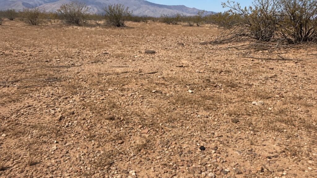 A close-up of dry, gravelly Arizona desert ground, with a dark black Saffordite stone sitting near the center-right of the frame.