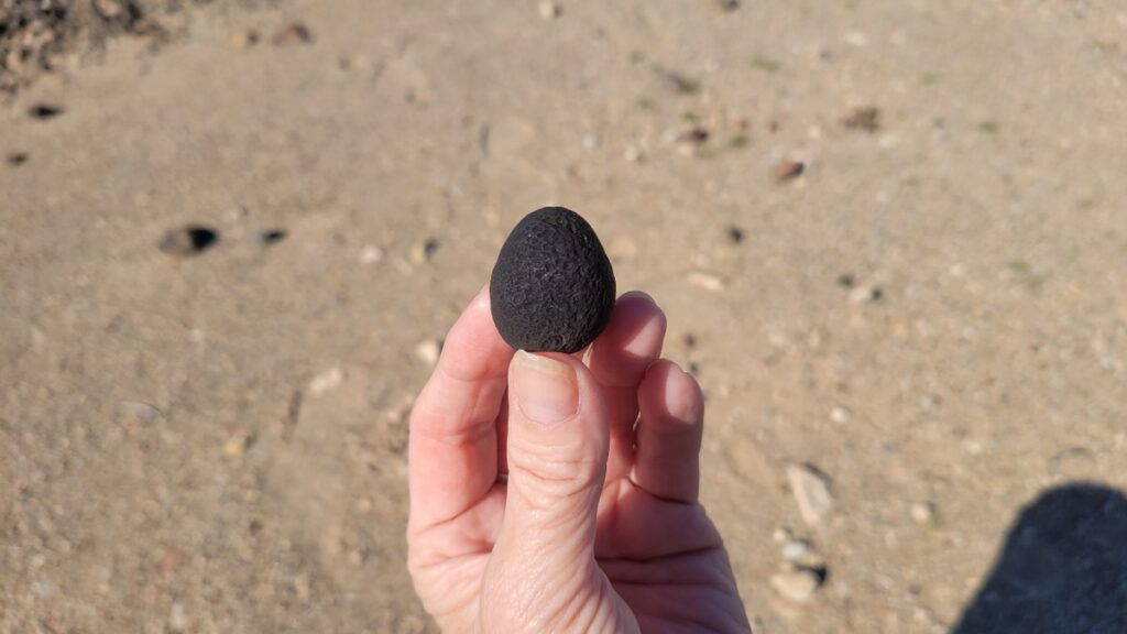Saffordite black